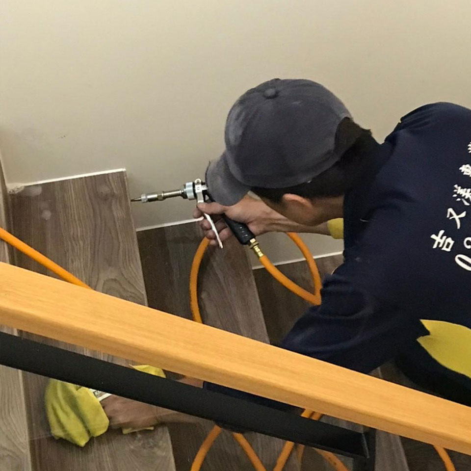 白蟻及蛀蟲防治