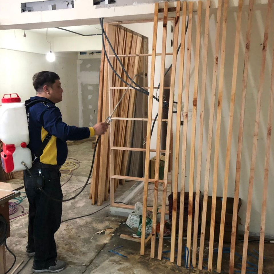 白蟻及蛀蟲防治