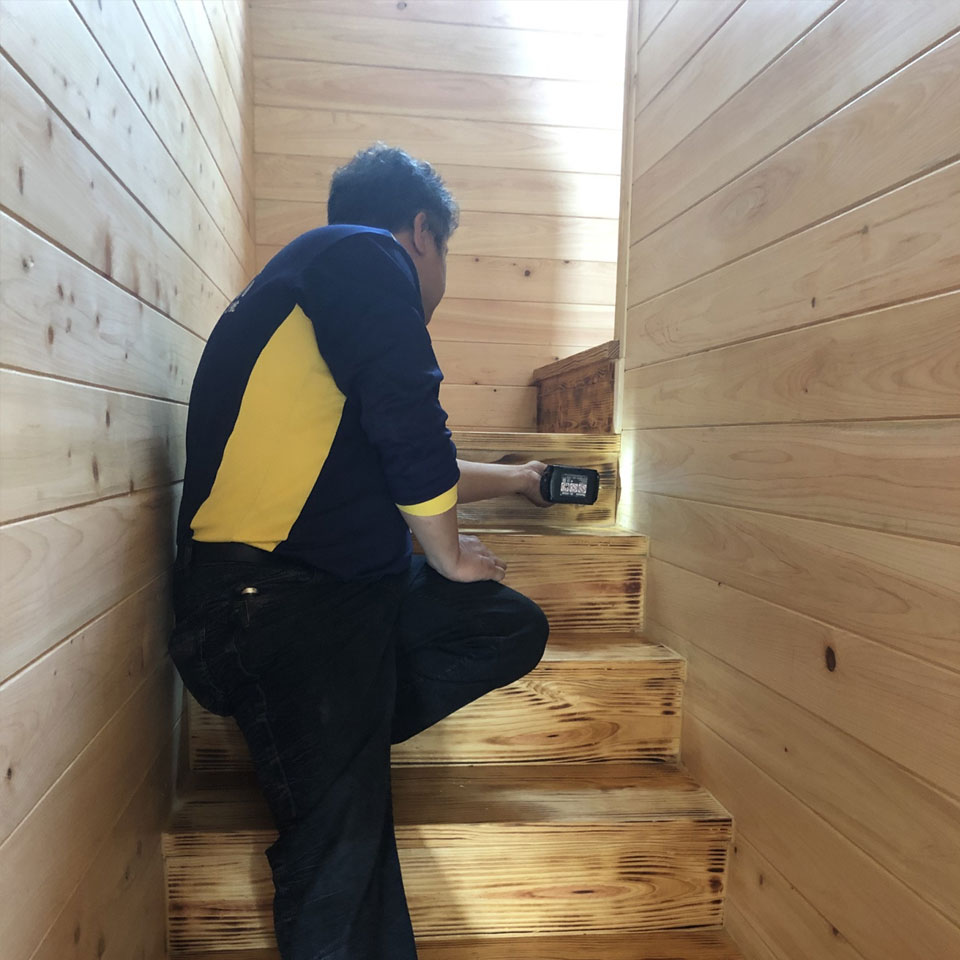 白蟻及蛀蟲防治