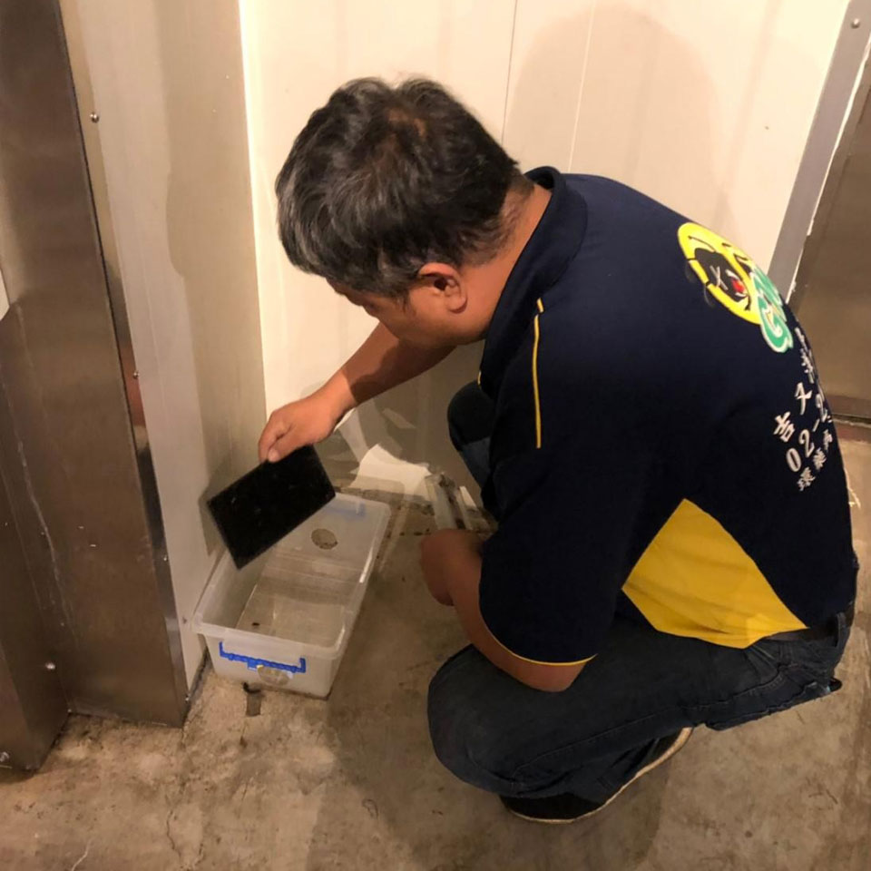 驅鼠防治服務